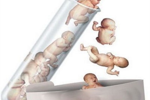 http://ningbo.dacou.net/post/194.html|宁波新闻中心